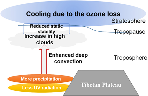 20240903172535009380106084.png image.png