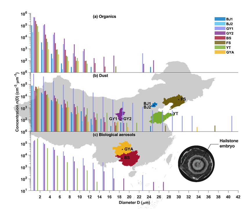 20240903172534998307504590.png image.png